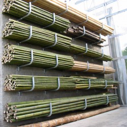 Canna bambù da costruzione verde ø 3-4 cm-L.200 cm